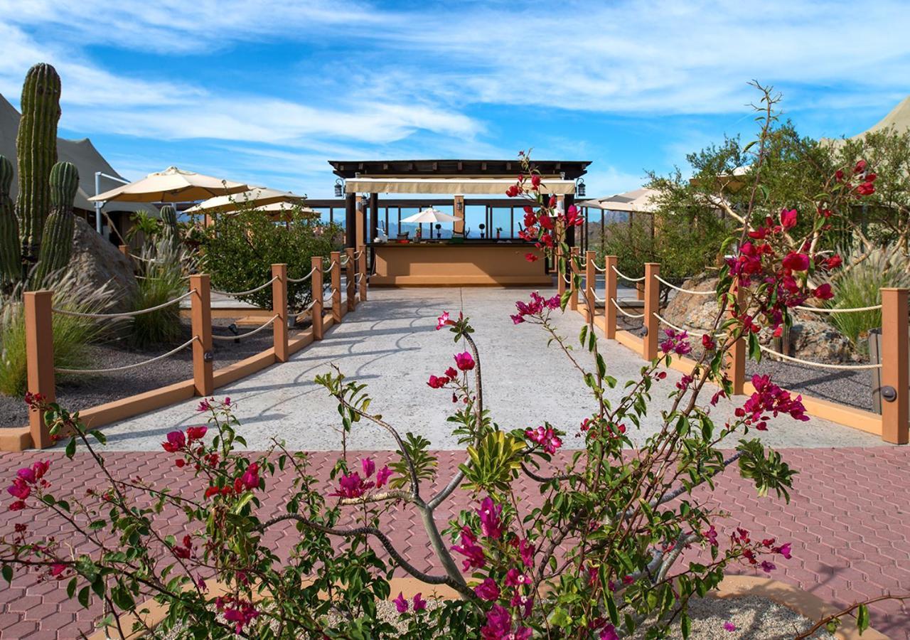 Villa Del Palmar At The Islands Of Loreto Loreto  Eksteriør billede